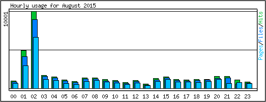 Hourly usage