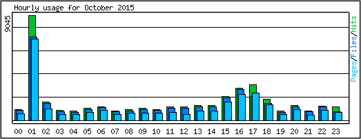 Hourly usage