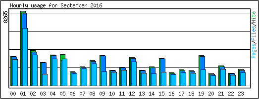 Hourly usage