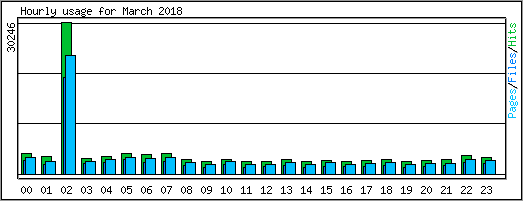 Hourly usage